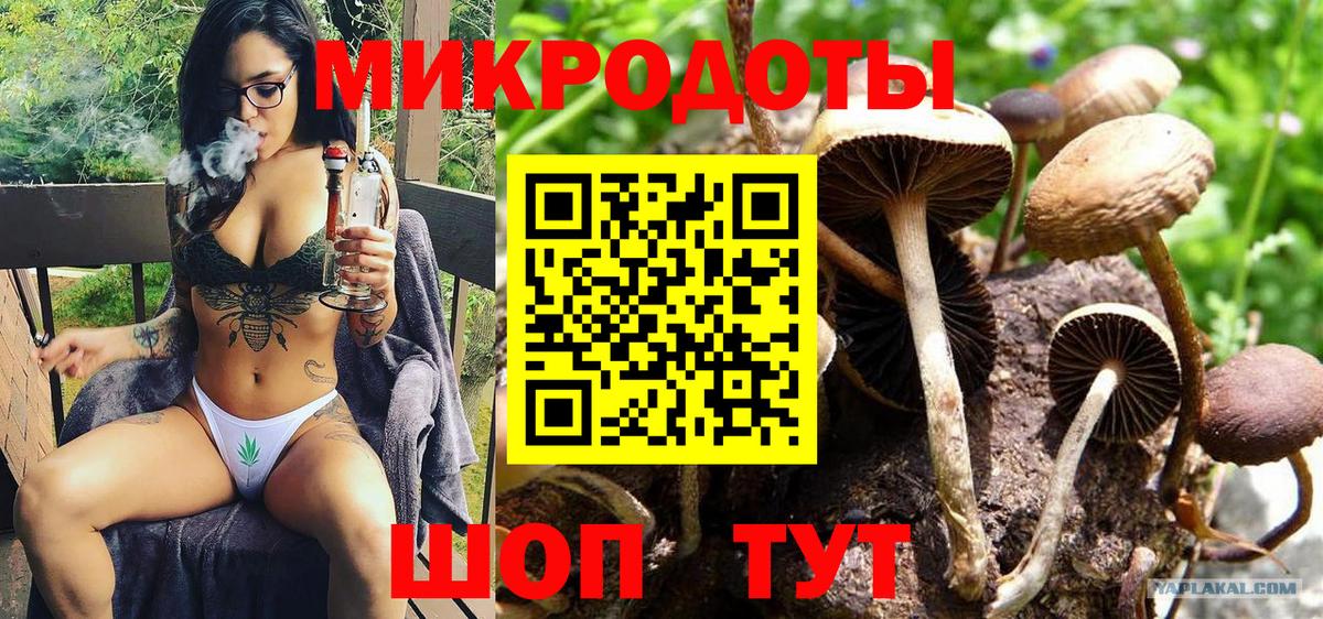 Галлюциногенные грибы MAGIC MUSHROOMS  Псилоцибиновые грибы Cubensis  Вход с VPN  Усолье-Сибирское 